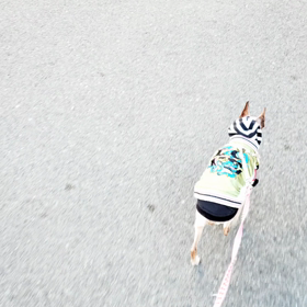 たっしゃか娘‼️‼️の画像