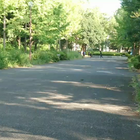 クラブ交流大会女子選考会③の画像