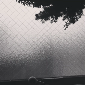 梅雨明けの画像