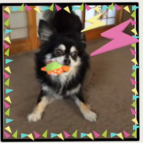 来るぞ〜ヽ(｀⌒´)ﾉの画像