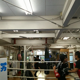 頑張れオーバー40の画像