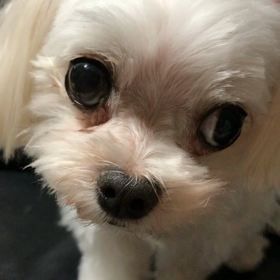 おばあちゃんとこ行く？の画像