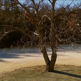 ドローンとタイムラプス (スマホで撮る星々)の画像