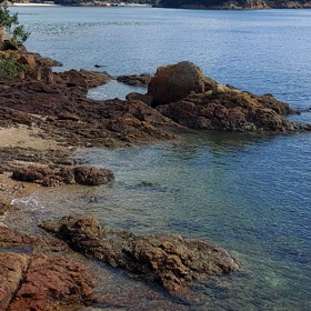 おはようございます♪の画像