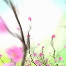 パピ柴　モカちゃん　ファミリートレーニング記の画像