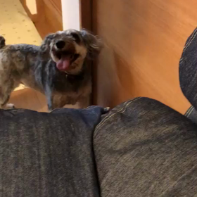 切ない……。の画像