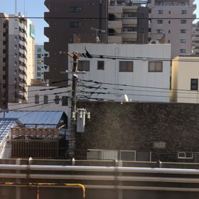 こひつじの画像