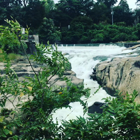 分骨の納骨してきたの画像