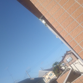 雨降ってないのにの画像