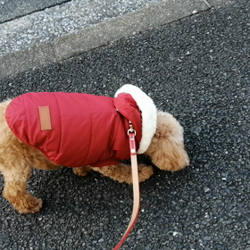 最強寒波がやってくるの画像