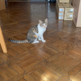 ジャンプ　キャッチの画像