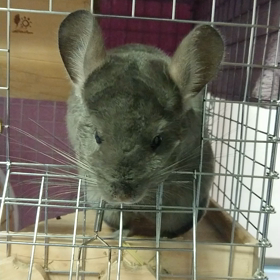 台風☔再来の画像