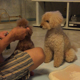 背後が怖いぞの画像