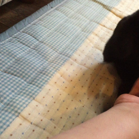 怒りくるうソラの画像