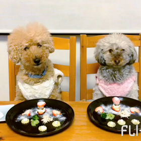 ６歳おめでとう♫ちゃこの画像