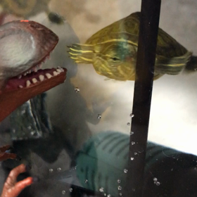 恐竜に挑む。の画像