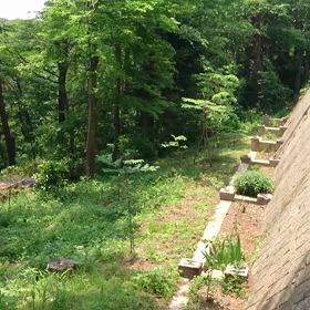 整体ストレッチルーム アデゼ森の名前の由来の画像