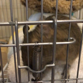 1人音楽会の画像