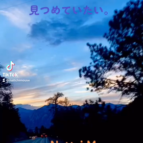 police！！♀️♂️　　の画像