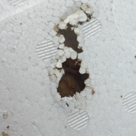 発泡スチロール蛹室の画像