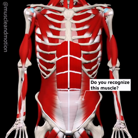 何故、腹横筋を意識させるのかの画像