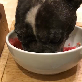 まぐろ納豆を食べる豆(*'▽'*)の画像