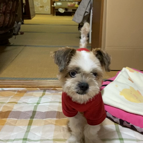 靴下丸々　取り行けの画像