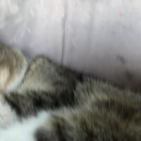 素敵な出会いの画像