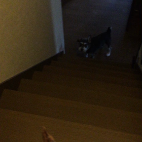 オヤツの為ならの画像