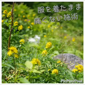 ナチュラルリンパドレナージュ BODY紹介の画像