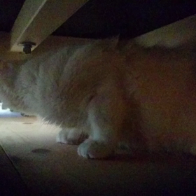 1日目 ～その２～の画像