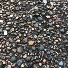 手のひらを太陽にの画像