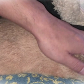 雨の日は まったりと。。。の画像