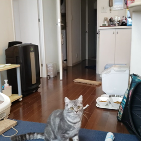 我が家の三男の画像