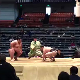 平成27年3月場所取組動画①の画像