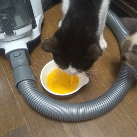 皆んな食べたいね。の画像