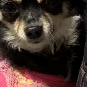 節分になにしてんねんの画像