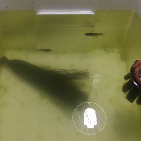 久しぶりの動画！！の画像