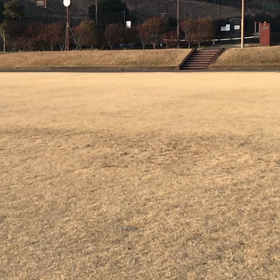 有り余る才能の画像