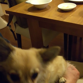 お口あーんの画像