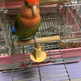 癒されたい日の画像