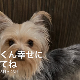 モコくん幸せになってね☺️の画像