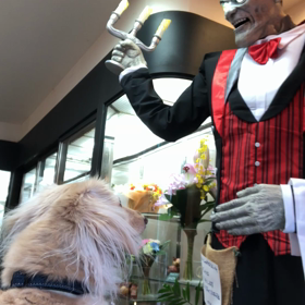 世の中は、ハロウィンの画像