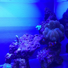 大ショック…の画像