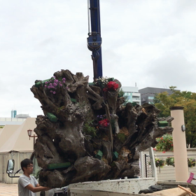 Yue Flower Liveの画像