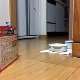 今日は雛祭り！お薬飲んでからご飯にゃ！の画像