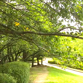 森乃　熊三（＾＿－）≡★の画像