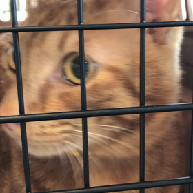 出して〜。の画像