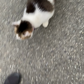 久しぶりーの画像