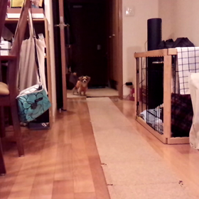 雨の日はの画像